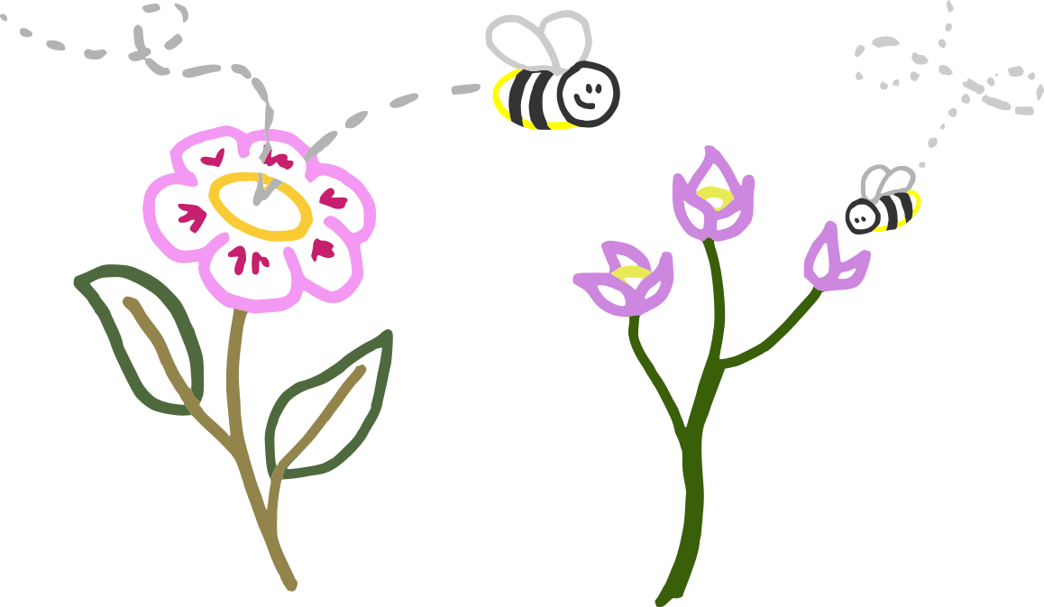 La pollinisation
